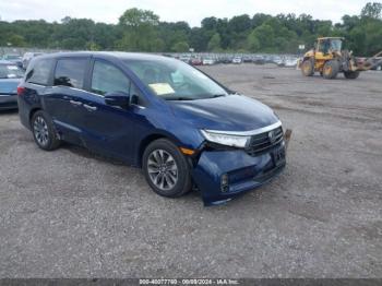  Salvage Honda Odyssey