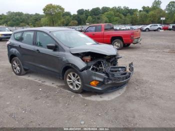  Salvage Ford Escape