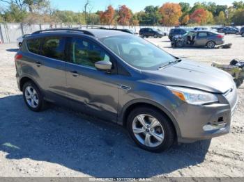  Salvage Ford Escape