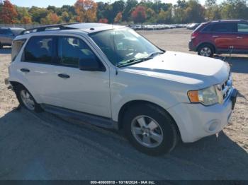  Salvage Ford Escape