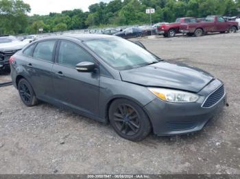  Salvage Ford Focus