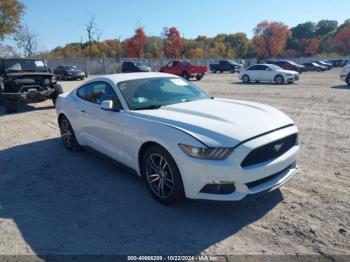  Salvage Ford Mustang