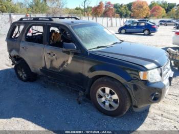  Salvage Ford Escape