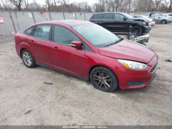  Salvage Ford Focus