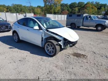  Salvage Tesla Model Y