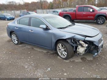  Salvage Nissan Maxima