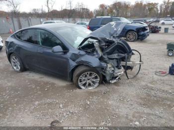  Salvage Tesla Model Y