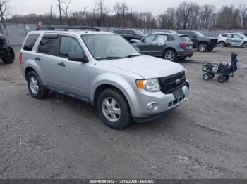  Salvage Ford Escape