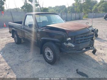  Salvage Dodge Dakota