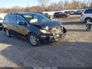  Salvage Honda Odyssey