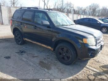  Salvage Ford Escape