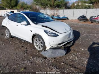  Salvage Tesla Model Y