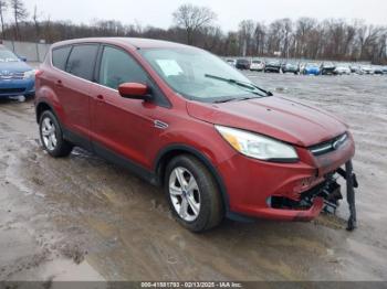  Salvage Ford Escape