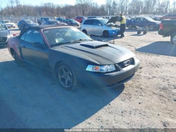  Salvage Ford Mustang