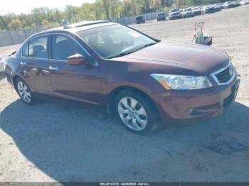  Salvage Honda Accord