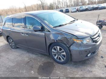  Salvage Honda Odyssey