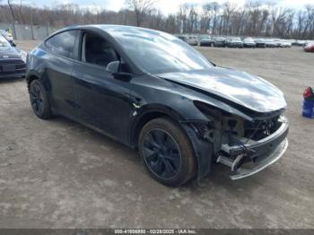  Salvage Tesla Model Y
