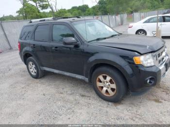  Salvage Ford Escape