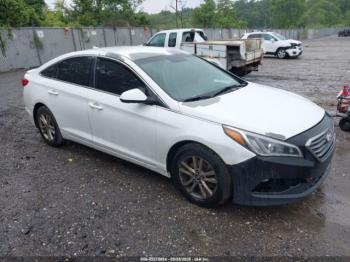  Salvage Hyundai SONATA