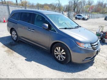  Salvage Honda Odyssey