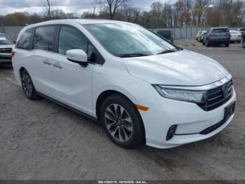  Salvage Honda Odyssey