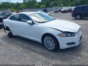  Salvage Jaguar XF
