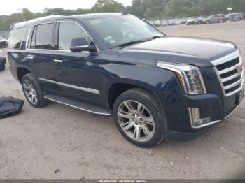  Salvage Cadillac Escalade