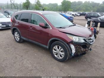  Salvage Honda CR-V