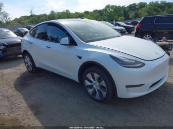  Salvage Tesla Model Y