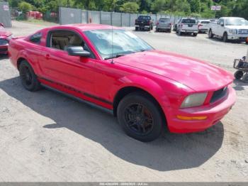  Salvage Ford Mustang