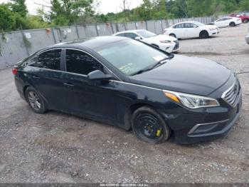  Salvage Hyundai SONATA