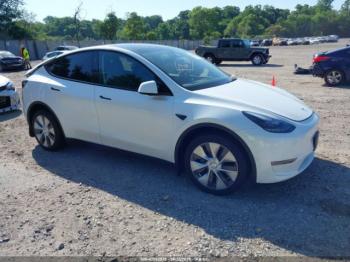  Salvage Tesla Model Y