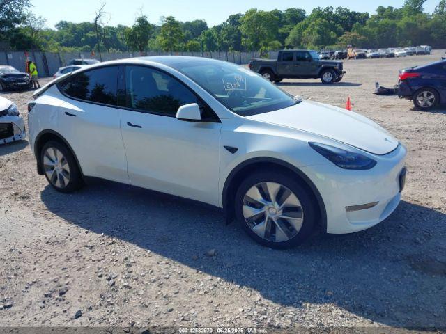  Salvage Tesla Model Y