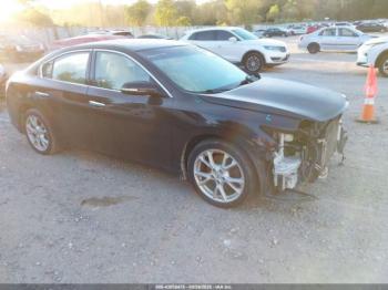  Salvage Nissan Maxima