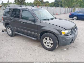  Salvage Ford Escape