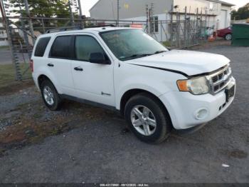  Salvage Ford Escape
