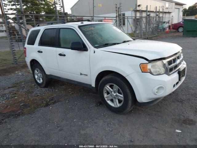  Salvage Ford Escape