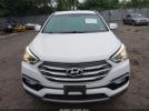 Hyundai SANTA FE 2.4l Image 13