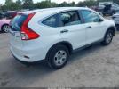 Honda CR-V Lx Image 5