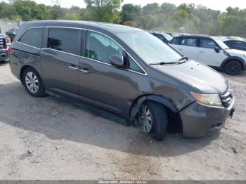  Salvage Honda Odyssey