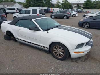  Salvage Ford Mustang