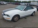 Ford Mustang Image 3
