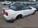 Ford Mustang Image 14