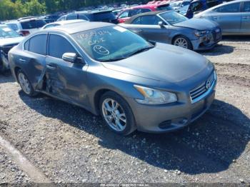  Salvage Nissan Maxima