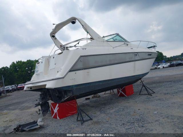 Maxum Other Image 11