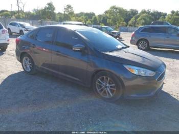  Salvage Ford Focus