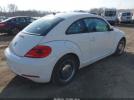 Volkswagen Beetle 2.5l Image 2