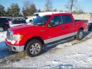 Ford F-150 Xlt Image 8