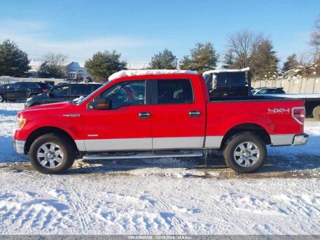 Ford F-150 Xlt Image 14