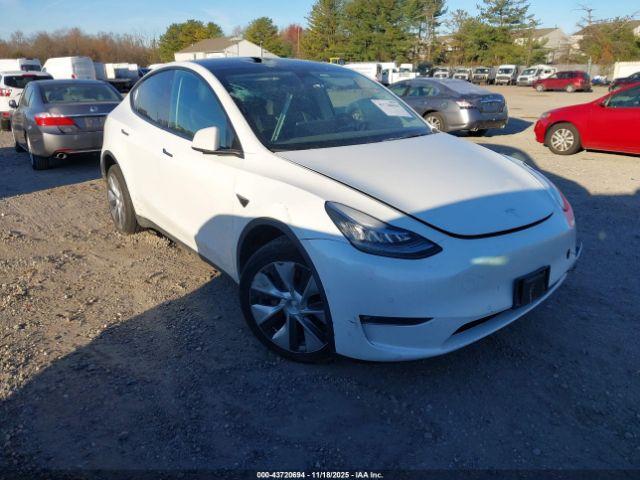  Salvage Tesla Model Y